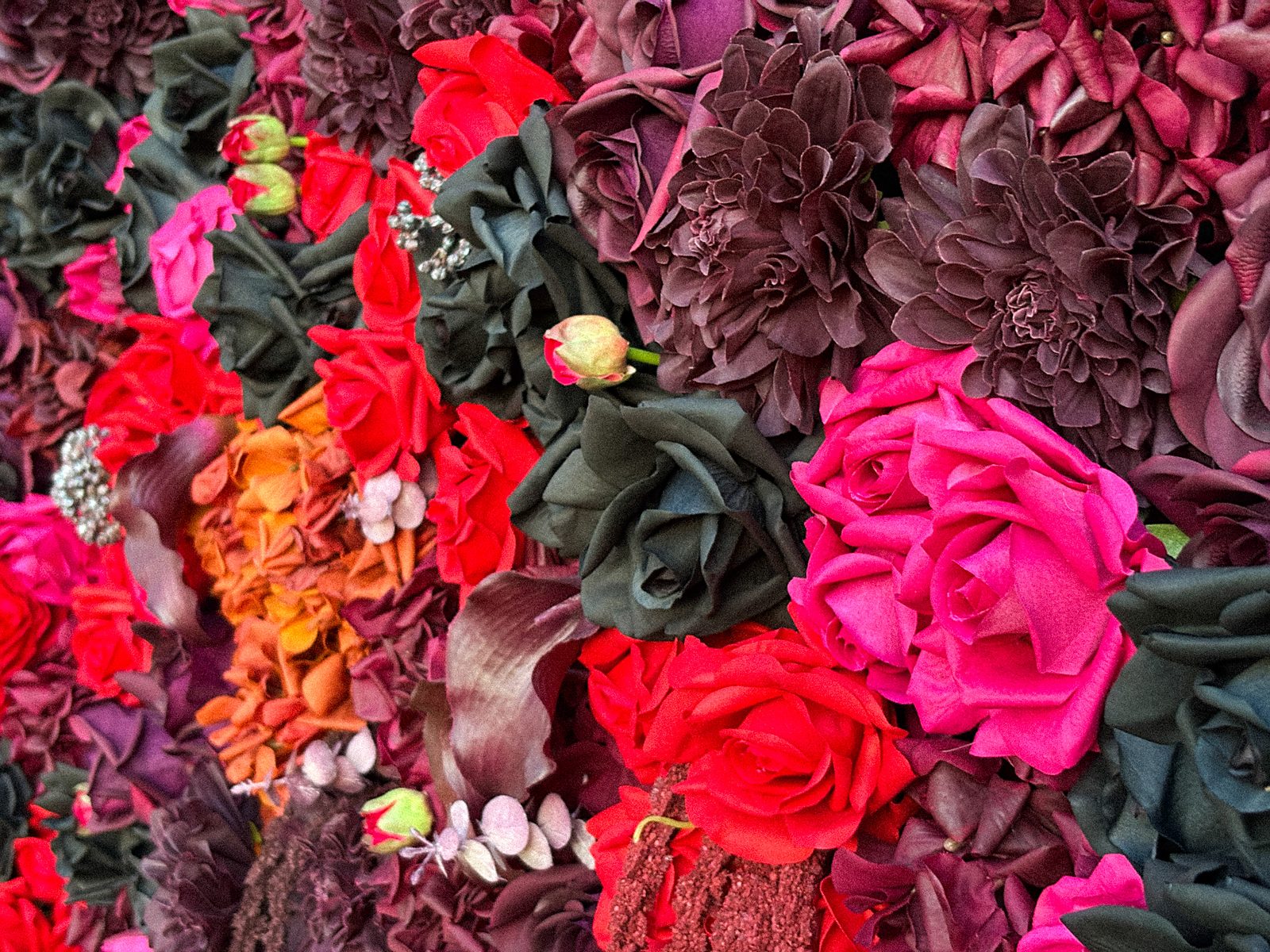 Macro detail of dark red and black Real Touch roses with velvet texture