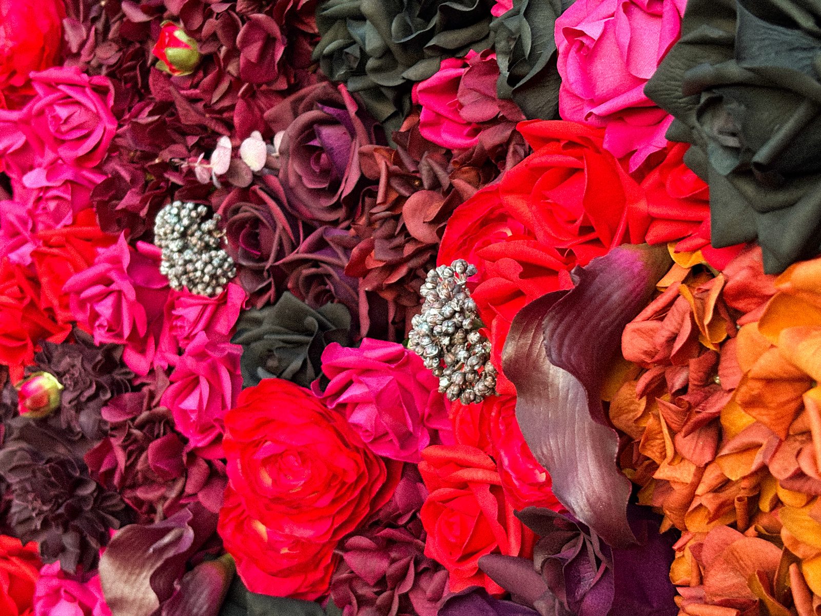 Close-up of red, pink and black Real Touch roses in the Midnight Bloom flower wall