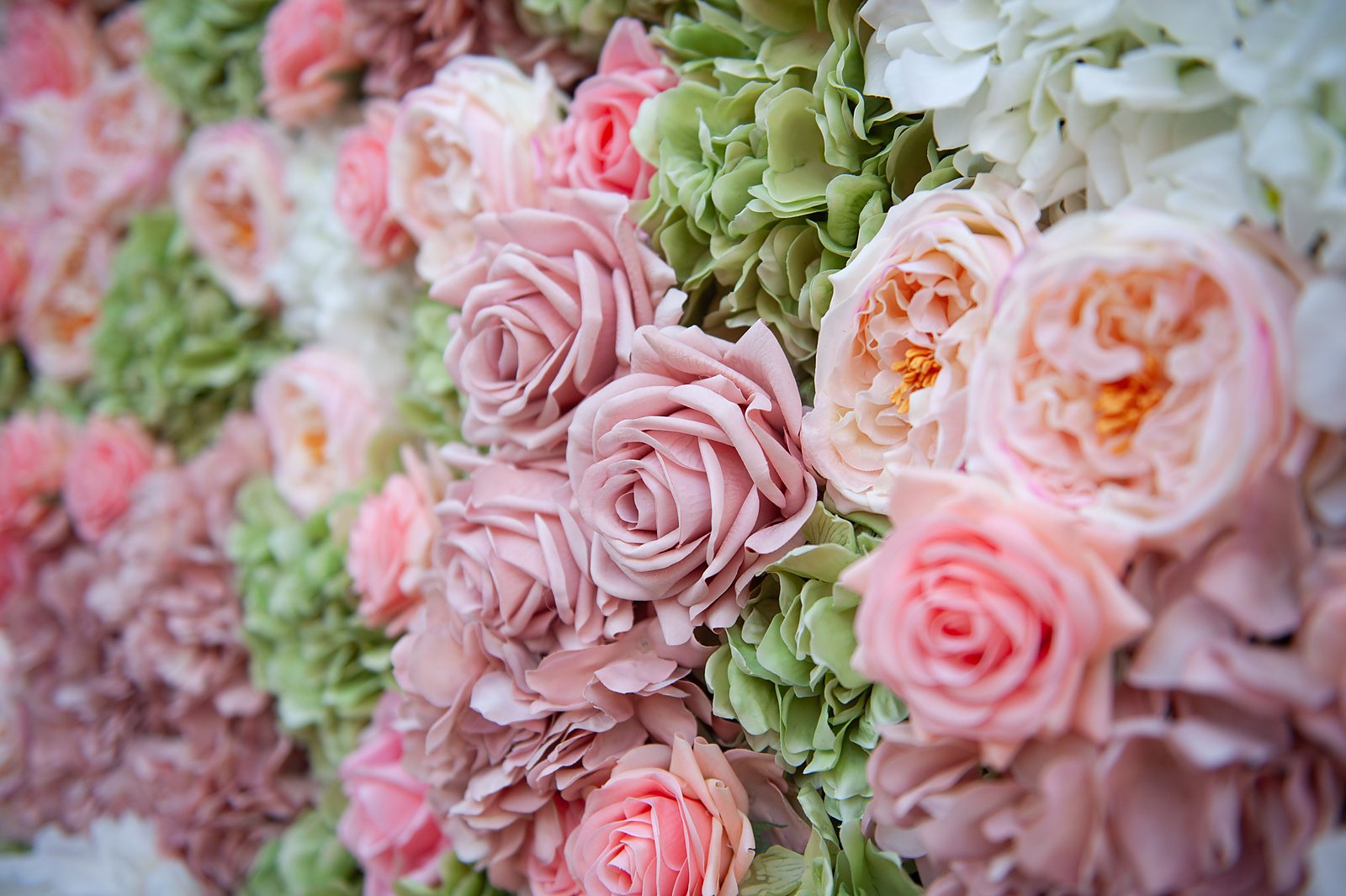 Close-up of blush and ivory Real Touch roses with sage hydrangea