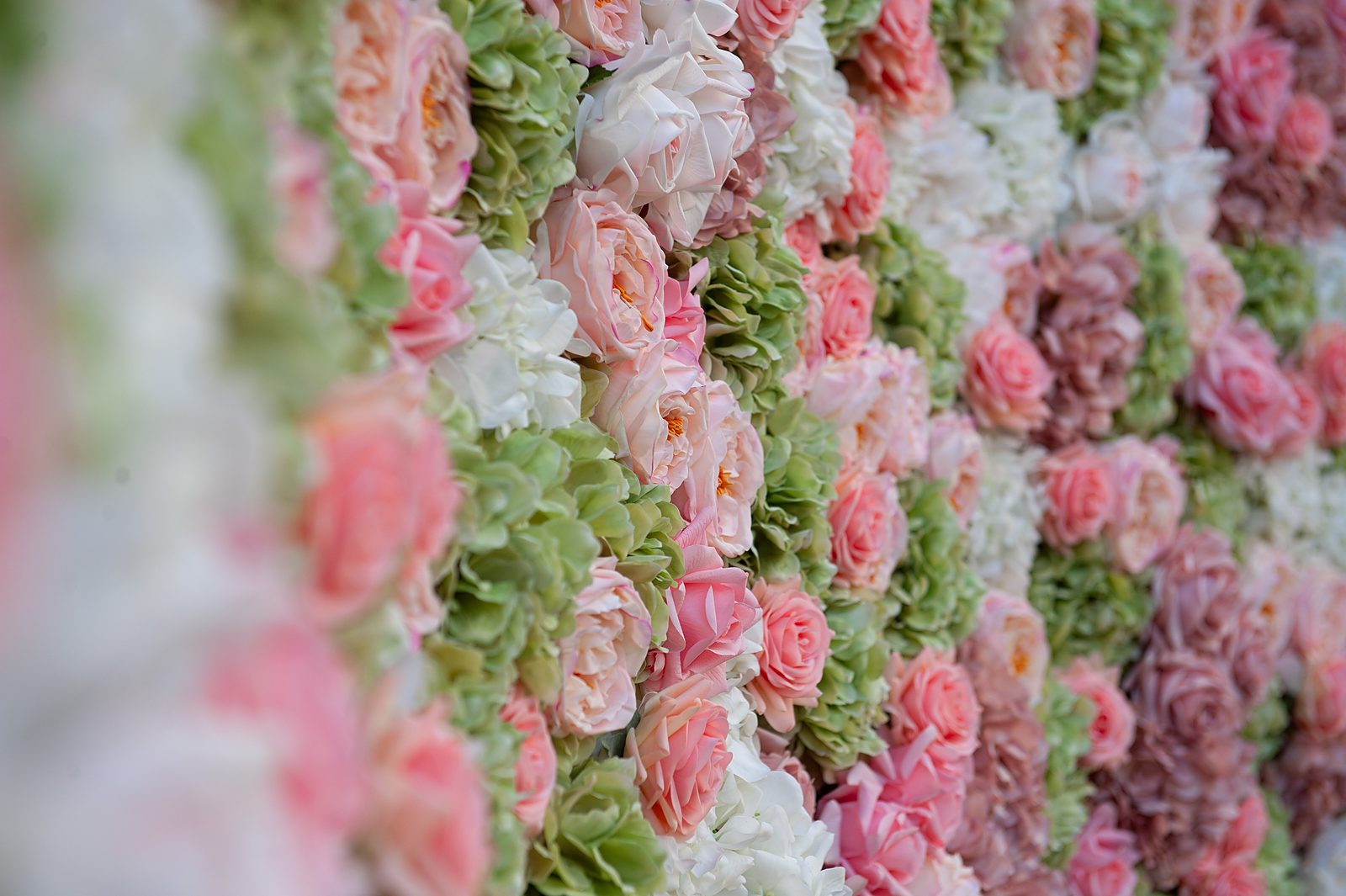 Wide close-up of green, ivory and pink Real Touch flowers in the English Garden wall