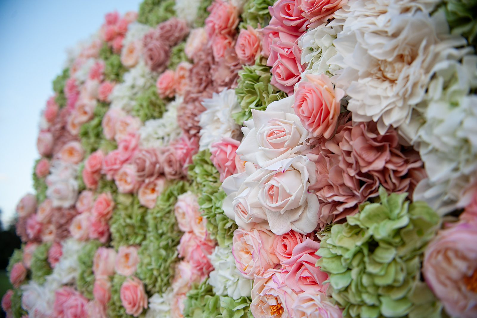Close-up of pink, ivory and sage Real Touch roses in the English Garden flower wall