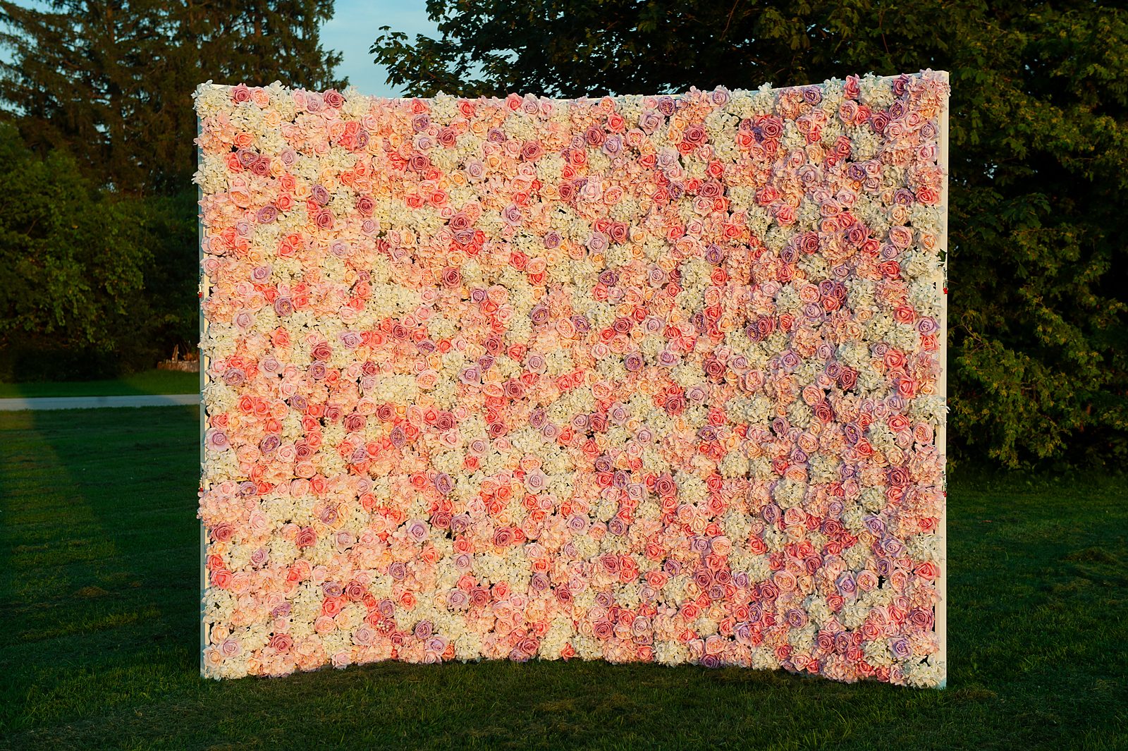 Pink flower wall with blush roses and ivory hydrangea — Real Touch backdrop for bridal showers in Toronto & GTA