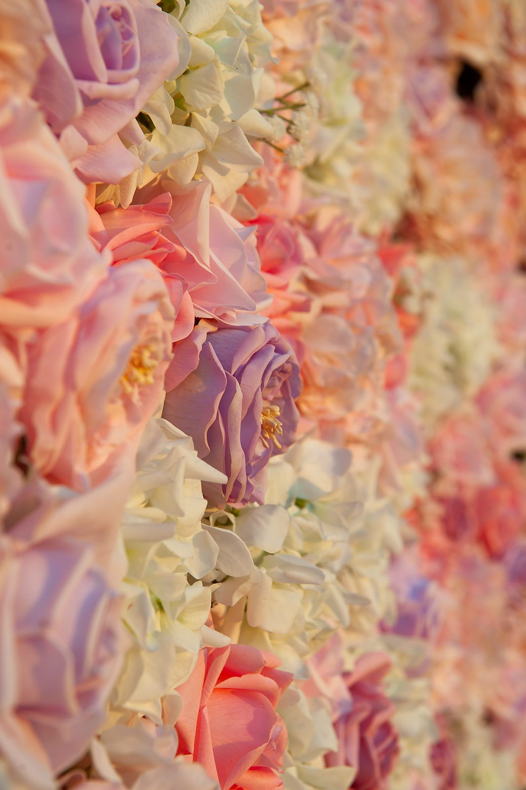 Close-up of blush and ivory Real Touch roses in the Blush Cascade flower wall