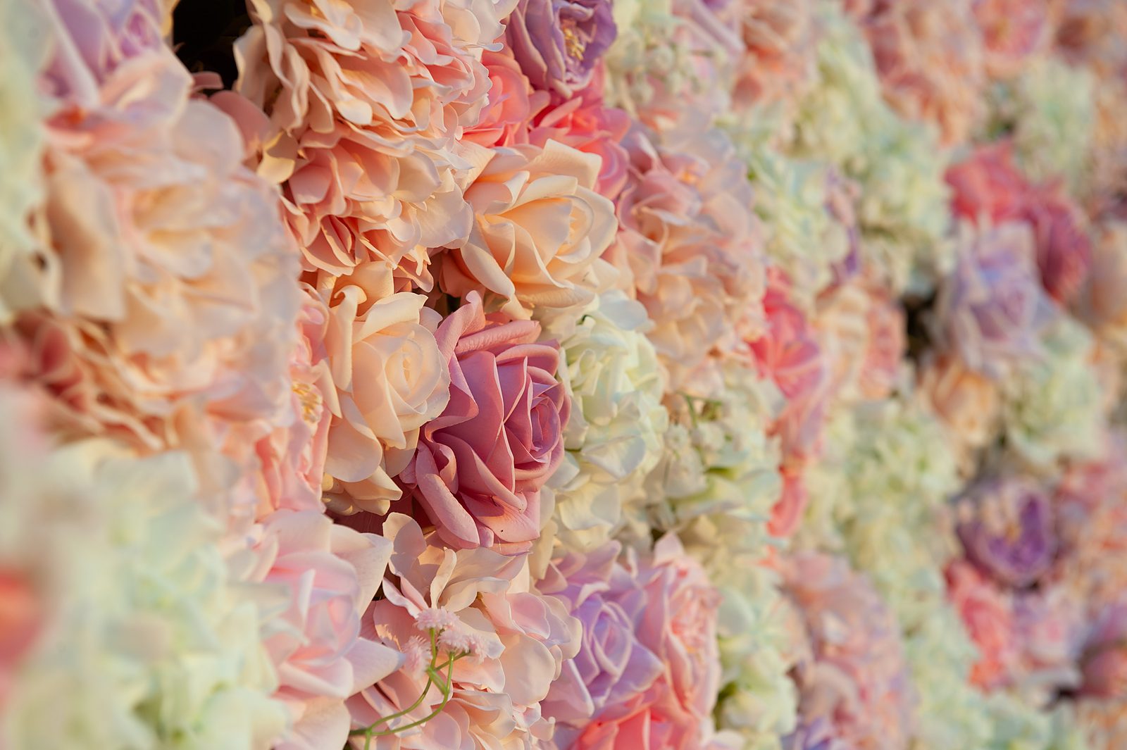 Close-up of pink, mauve and ivory Real Touch roses with baby's breath accents