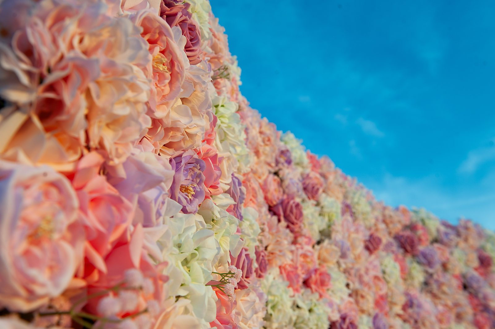 Detail of the Blush Cascade flower wall against a bright blue sky