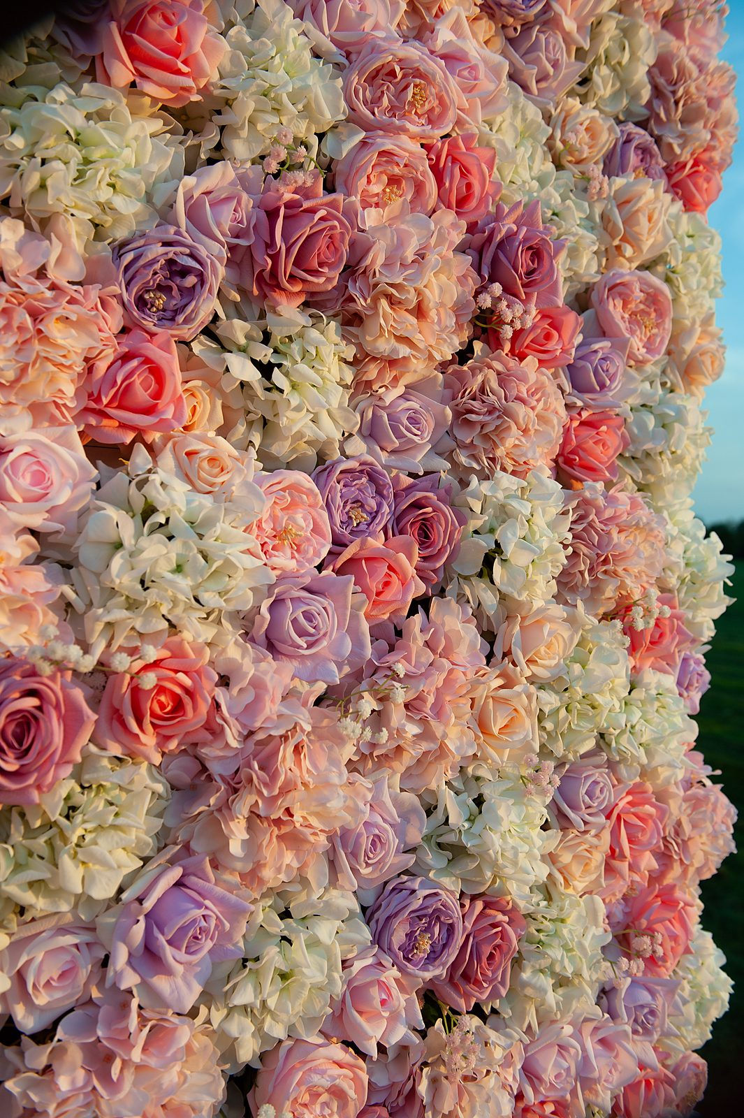 Close-up detail of pink and lavender Real Touch roses in the Blush Cascade wall
