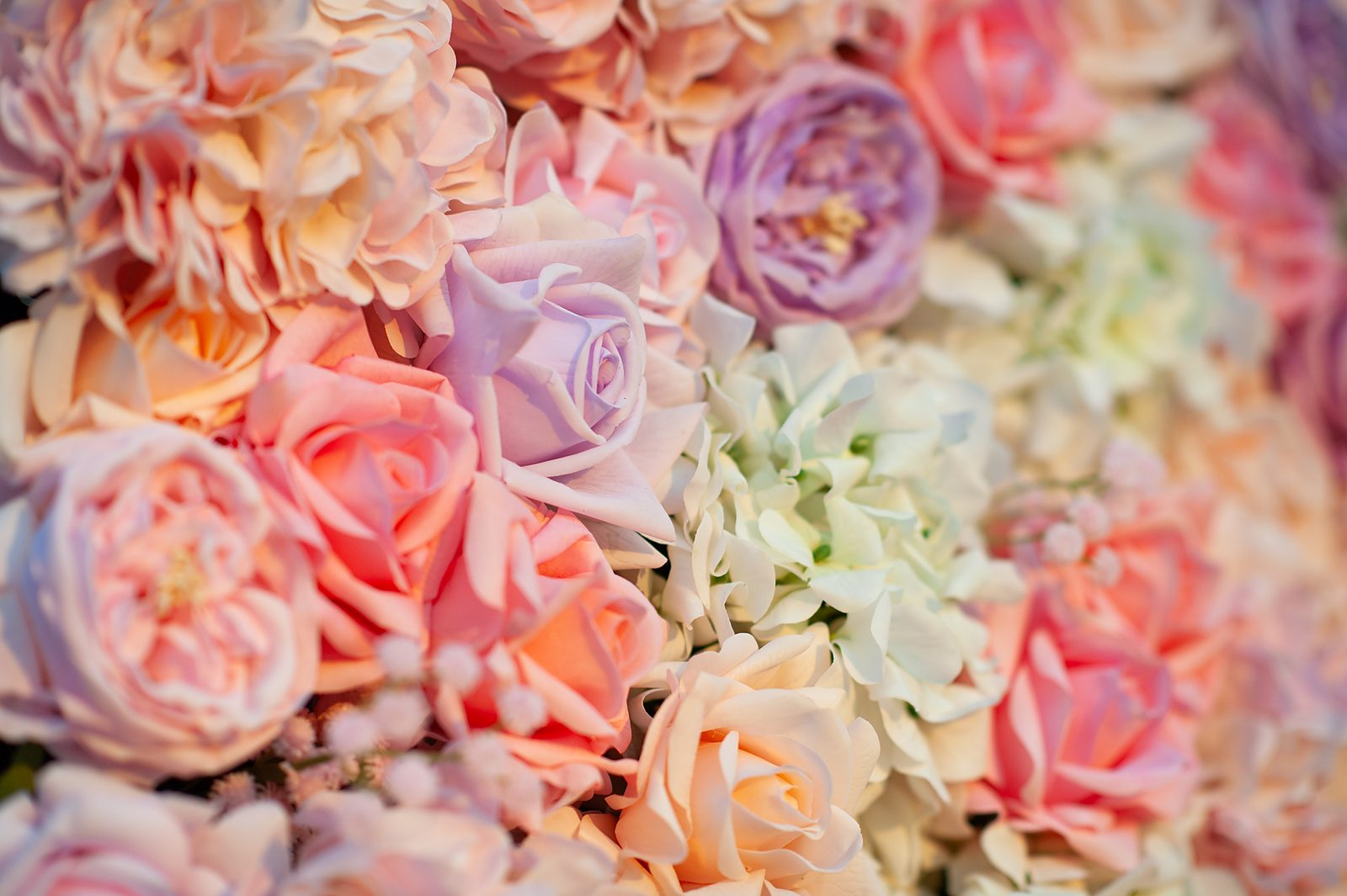 Close-up detail of the Blush Cascade pink and ivory Real Touch flower wall