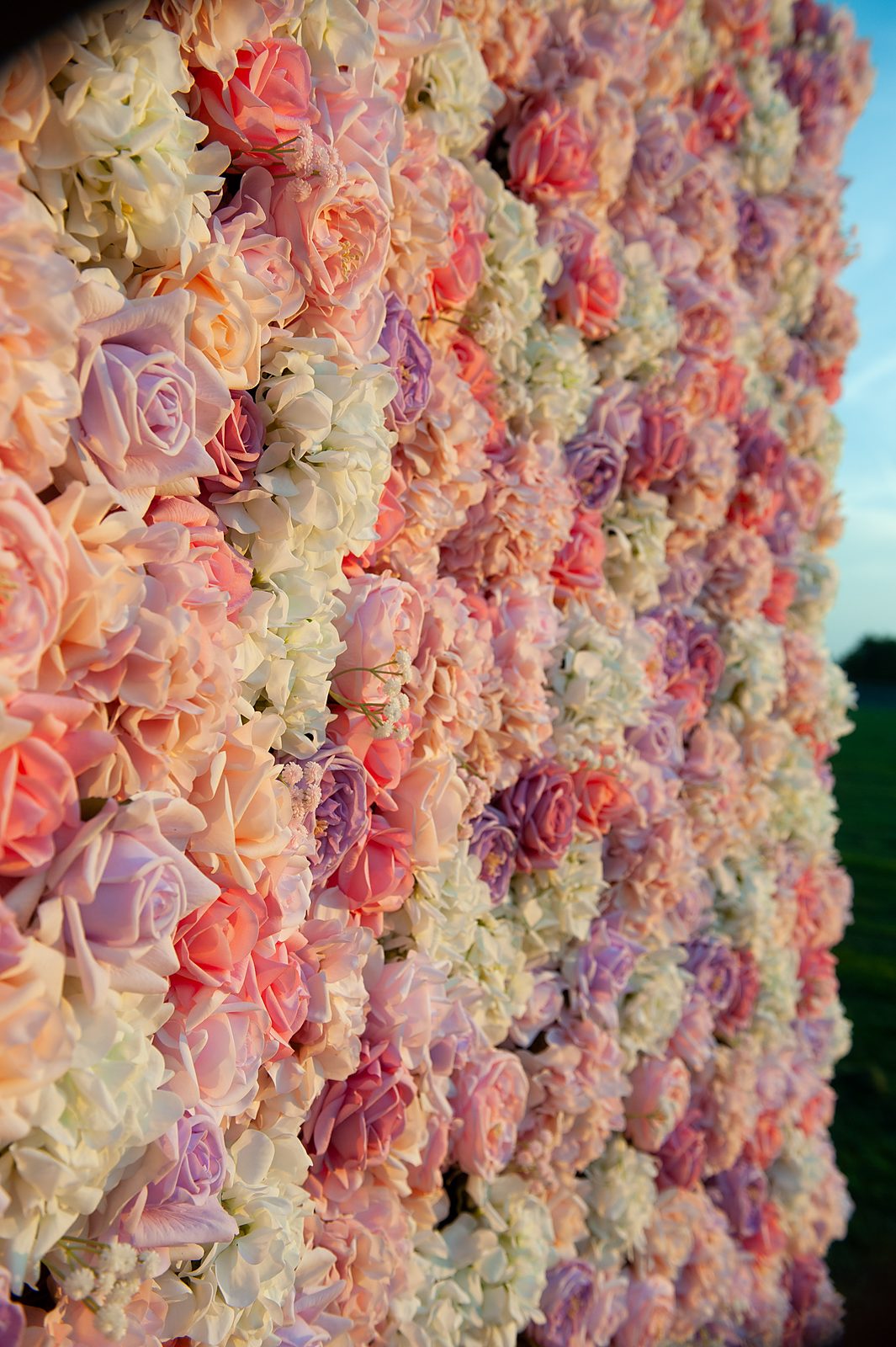 Detail of blush and ivory Real Touch roses against a clear sky