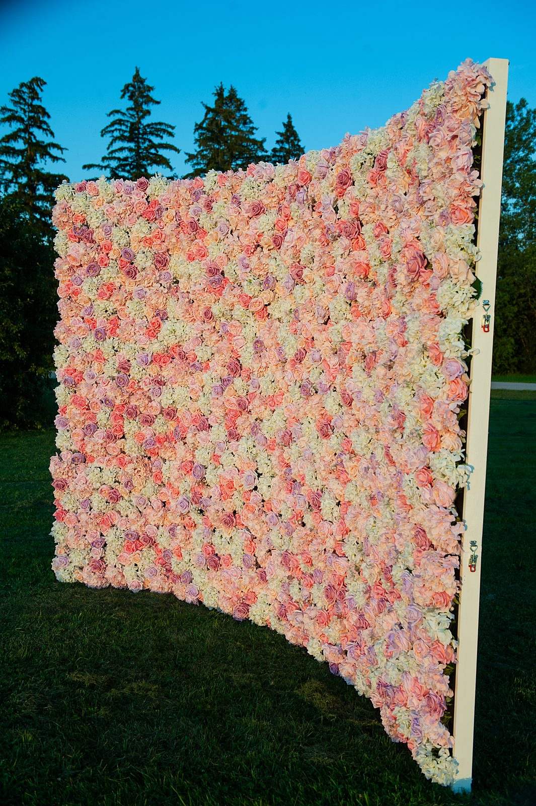 Blush Cascade flower wall set up outdoors on a garden lawn — Real Touch backdrop for GTA events